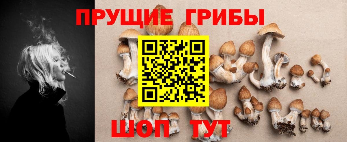 Псилоцибиновые грибы Cubensis  Вход с VPN  Арзамас 